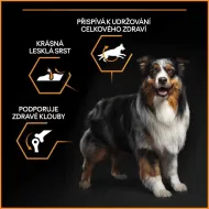 PRO PLAN Large Adult Robust Dog Everyday Nutrition, granule pro psy s kuřetem , 14 kg